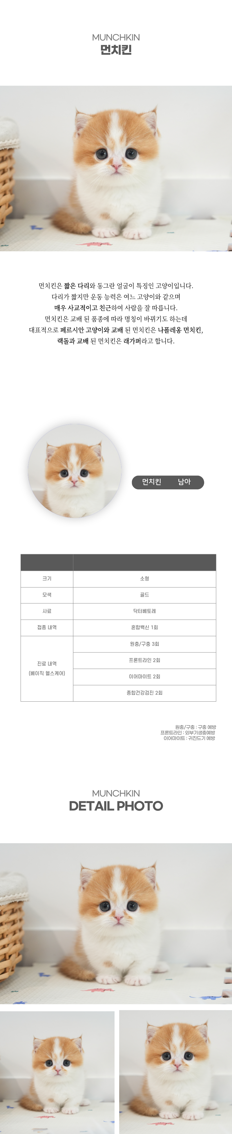 먼치킨_상세이미지_2